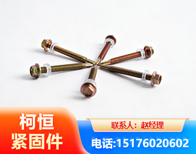 漳州六角钻尾丝