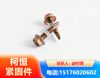 漳州六角钻尾丝
